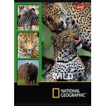 St.Majewski ZESZYT A5/32 LINIA NATIONAL GEOGRAPHIC