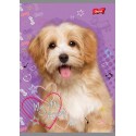 ZESZYT A5/16 KARTEK LINIA DWUKOLOROWA MY LITTLE FRIEND
