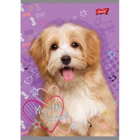 ZESZYT A5/16 KARTEK LINIA DWUKOLOROWA MY LITTLE FRIEND