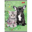 ZESZYT A5/16 KARTEK LINIA DWUKOLOROWA MY LITTLE FRIEND
