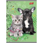 ZESZYT A5/16 KARTEK LINIA DWUKOLOROWA MY LITTLE FRIEND