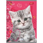 ZESZYT A5/16 KARTEK LINIA DWUKOLOROWA MY LITTLE FRIEND