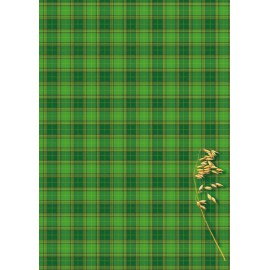 BRULION A4 TWARDA OPRAWA W LINIE 96 K