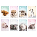 INTERDRUK ZESZYT A5 KRATKA 16 KARTEK PUPPY SIGN ZWIERZĄTKA