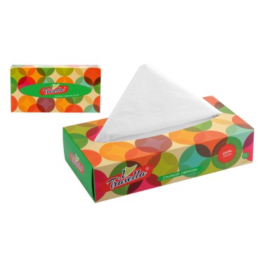 Chusteczki higieniczne 2-warstwowe box 100 szt.