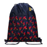 WOREK NA OBUWIE SZKOLNY STRIGHT SO-01 RAINBOW BIRDS