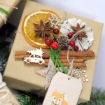 Craft Naturalne laski cynamonu 10 szt.