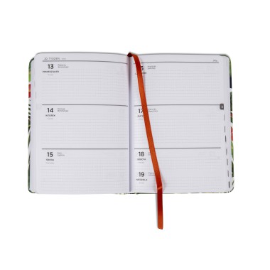 ALBI KALENDARZ TYGODNIOWY B6 NA ROK 2019 PANTOFELKI 12 M-CY